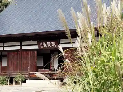 放光寺の本殿・本堂