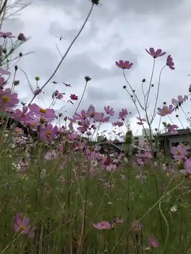 林香院の自然