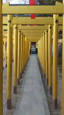 ほしいも神社(茨城県)