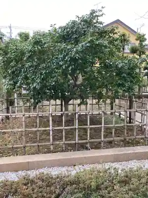 星谷寺(神奈川県)