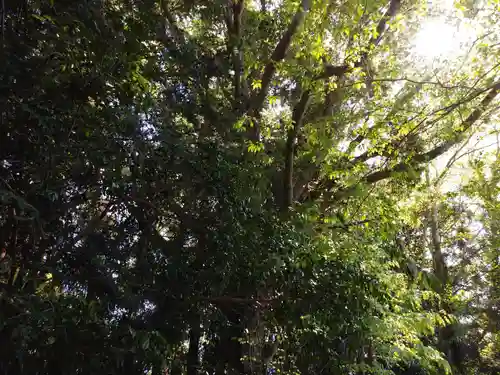 月水石神社の自然