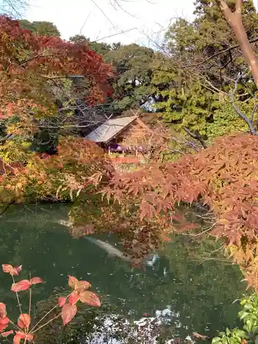 高鴨神社(奈良県)