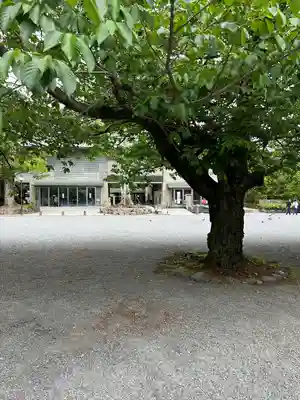 三嶋大社(静岡県)