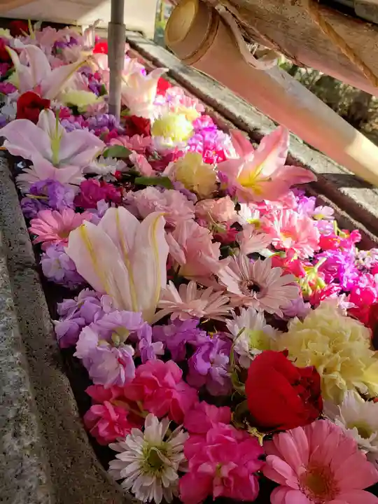 鳩森八幡神社(東京都)