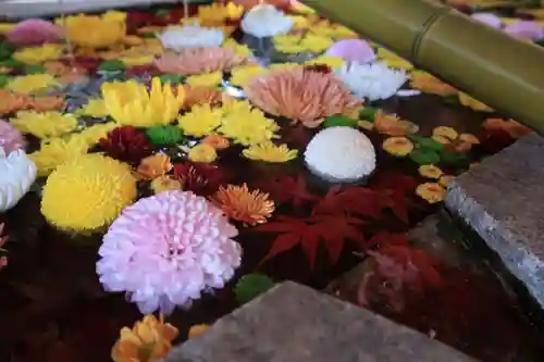 石清水八幡宮の手水舎