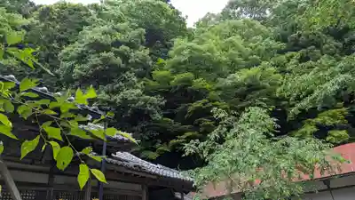法嚴寺（法厳寺）(京都府)