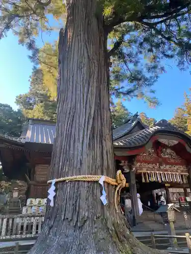 北口本宮冨士浅間神社(山梨県)