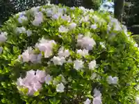 美奈宜神社(福岡県)