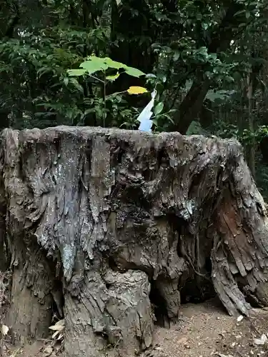 鹿島神宮(茨城県)
