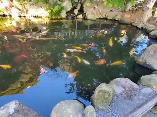 楽法寺（雨引観音）の動物