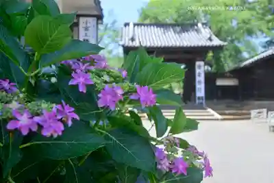 喜多院(埼玉県)