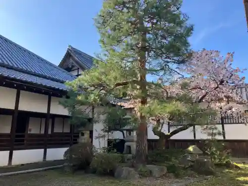 大通寺（長浜御坊）(滋賀県)