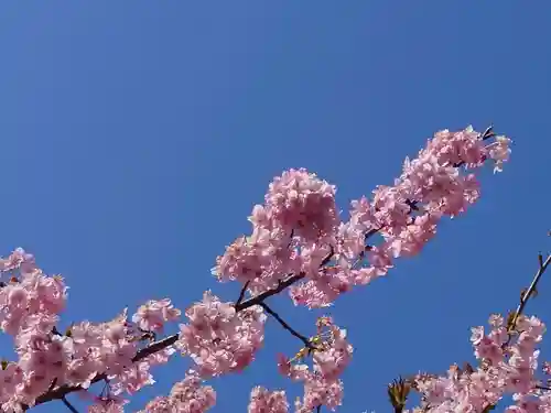 鷲宮神社(埼玉県)