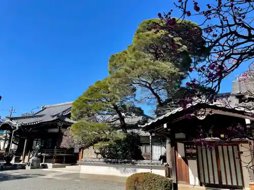 金藏院(東京都)