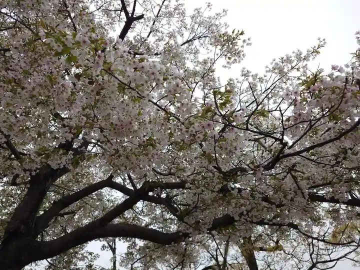 厳島神社(広島県)
