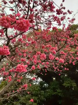 靖國神社(東京都)
