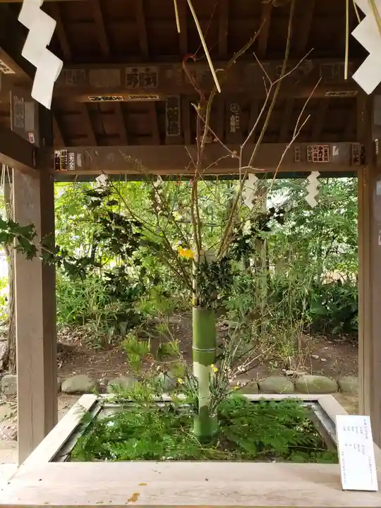赤坂氷川神社(東京都)