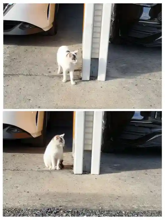 安楽寺(東京都)