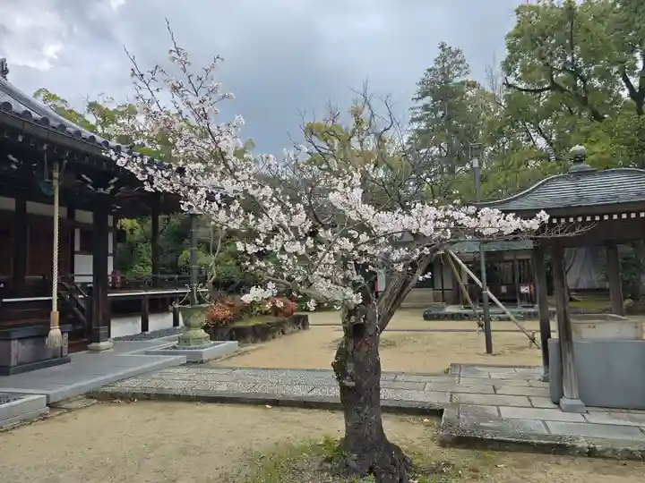 昆陽寺(兵庫県)
