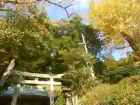 十二所神社の自然