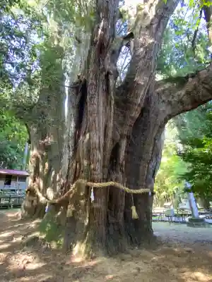 八坂神社(高知県)