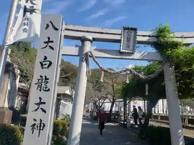 八大白龍大神の鳥居