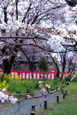 平野神社(京都府)