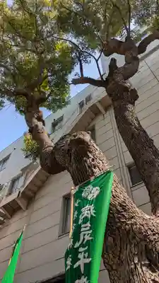 少彦名神社(大阪府)