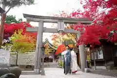 彌彦神社　(伊夜日子神社)(北海道)