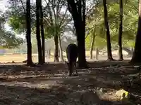 東大寺(奈良県)