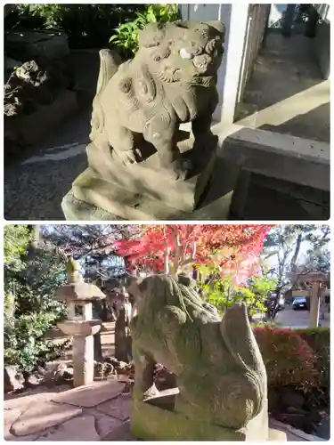 品川神社の狛犬