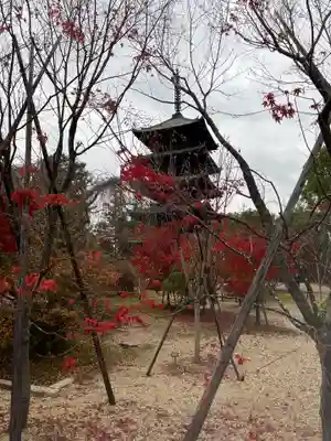 仁和寺のその他建物