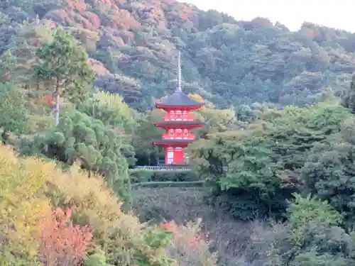 清水寺の景色