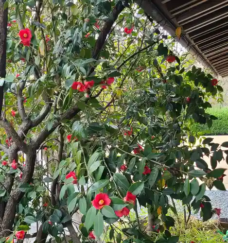 出雲大社倉敷教会(岡山県)