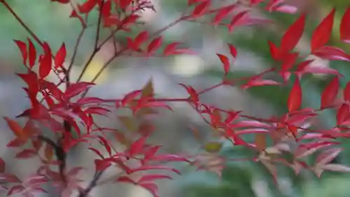山科聖天 雙林院（双林院）　(京都府)