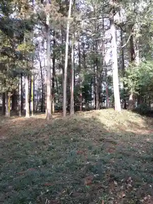 十社神社(埼玉県)