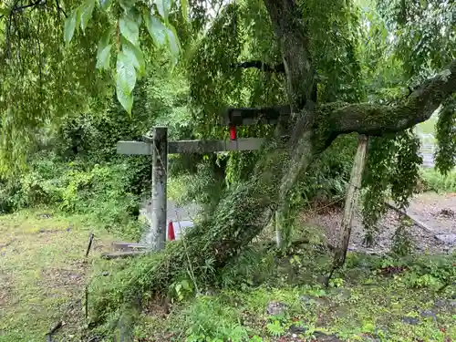 熊野神社の自然