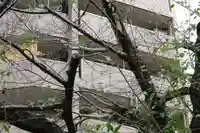 くまくま神社(導きの社 熊野町熊野神社)(東京都)