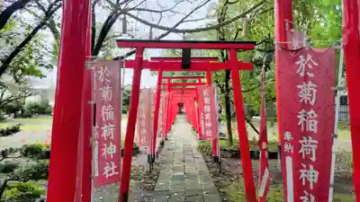 於菊稲荷神社(群馬県)