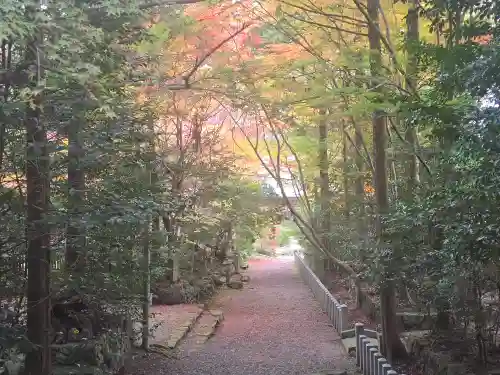 小椋神社(滋賀県)
