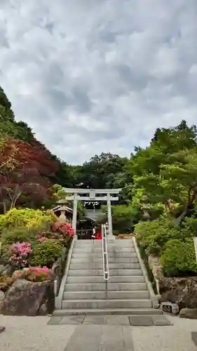 貫井神社の鳥居