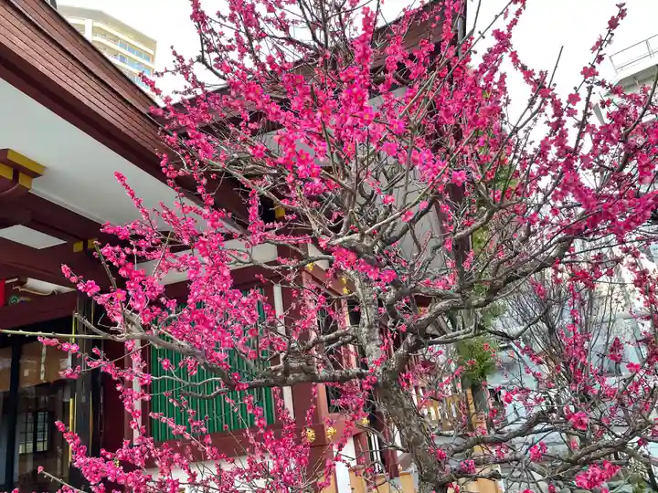蒲田八幡神社の自然