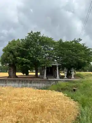 菊徳大年神社(兵庫県)
