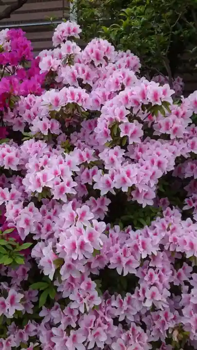 胡録神社(東京都)