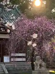 屯倉神社(大阪府)