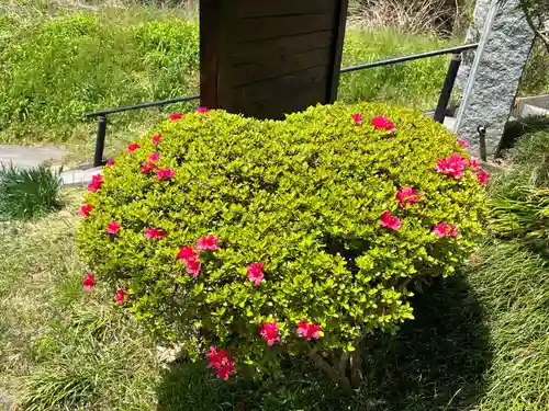 国宝 大法寺(長野県)