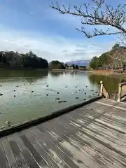 橿原神宮の自然