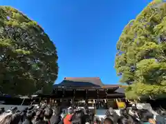 明治神宮(東京都)