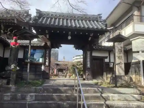 桜誓願寺の山門