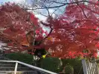 本願寺 北山別院(京都府)